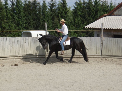 sanne_duben_2009_020_400